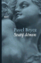 Foto knihy Svatý démon