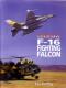 Foto knihy Bojové legendy - F-16 Fighting Falcon