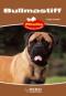 Foto knihy Bullmastiff