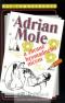 Foto knihy Adrian Mole a zbraně hromadného ničení