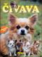 Foto knihy Čivava - Chováme psy