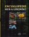 Foto knihy Encyklopedie hub a lišejníků Foto knihy Encyklopedie hub a lišejníků