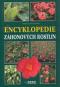 Foto knihy Encyklopedie záhonových rostlin Foto knihy Encyklopedie záhonových rostlin