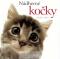 Foto knihy Nádherné kočky Foto knihy Nádherné kočky