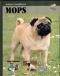 Foto knihy Mops Foto knihy Mops