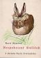 Foto knihy Nespokojený králíček