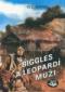 Foto knihy Biggles a leopardí muži