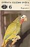 Foto knihy Zvířata celého světa 6: Papoušci