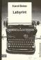 Foto knihy Labyrint