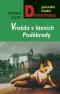 Foto knihy Vraždy v lázních Poděbrady